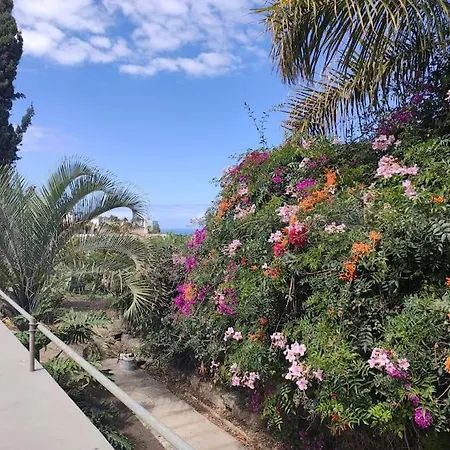 The Cypress House Vakantiehuis Puerto de la Cruz (Tenerife)