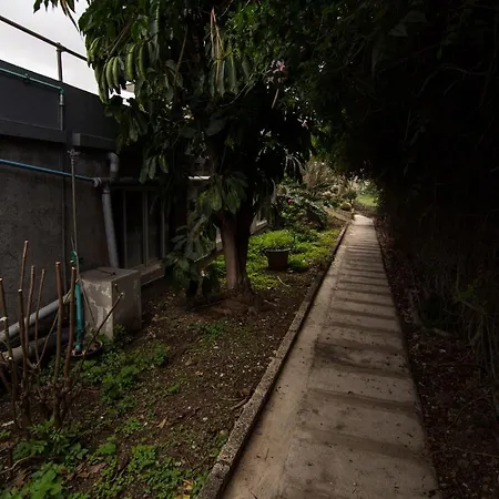 The Cypress House *